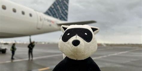 OIP-321128201.Ehmd0q_gbEuGStnTzkzvFgHaEi